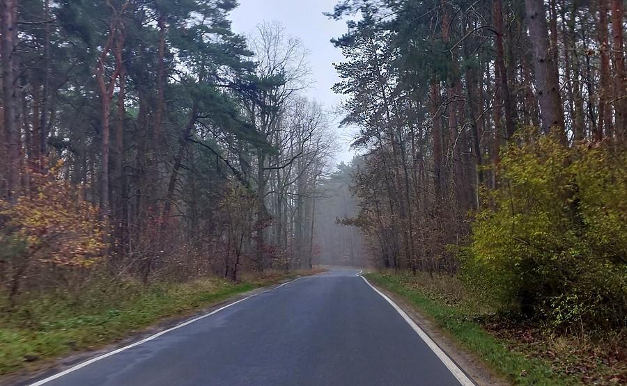 Zamglone klimaty