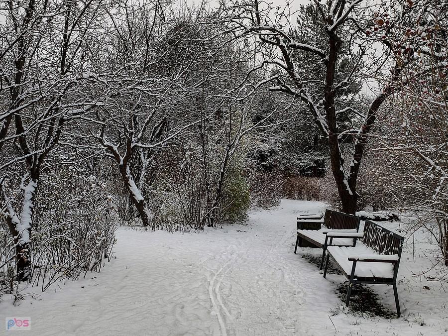 Park pod Kopą Cwila
