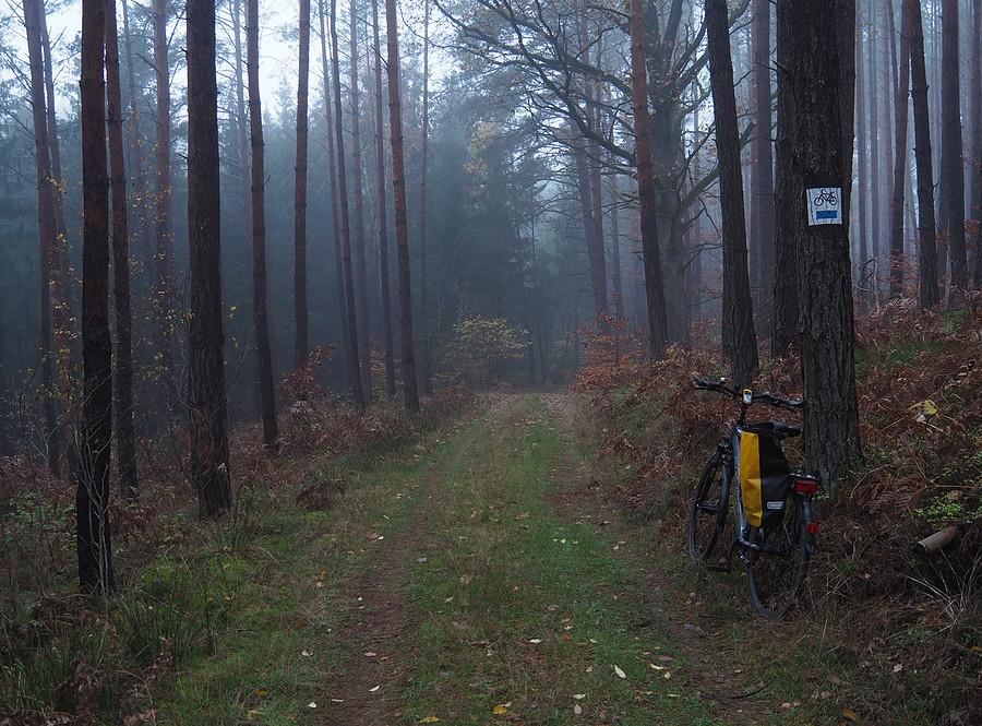 Niebieskim szlakiem rowerowym między jeziorami
