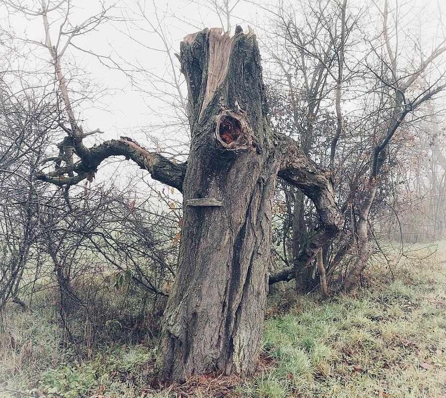 Cyklop spod Tulec wciąż na straży