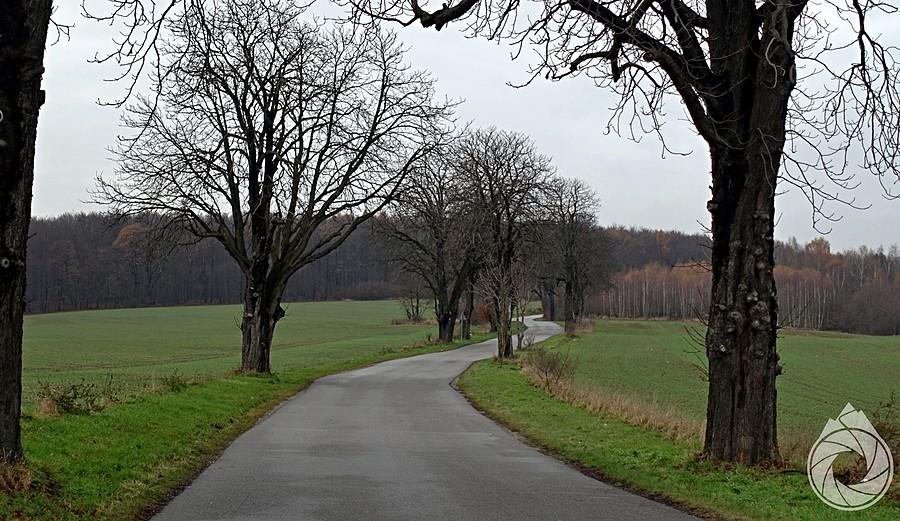 wzdluż pól nad Chrosną, przy autostradzie
