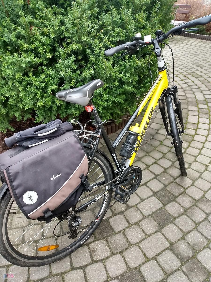 Pszczółka na parkingu