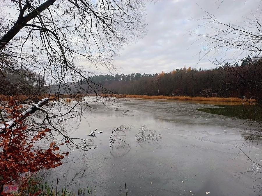 Młynki - Kociewie