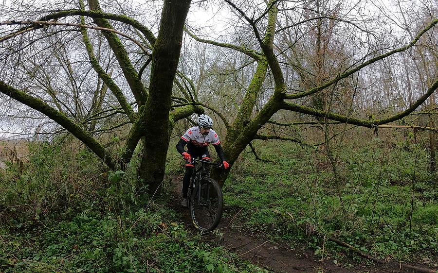 Wąsko, kręto, miedzy drzewami - pure MTB w akcji
