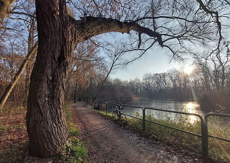 Ukryty rower, słoneczna Dębina