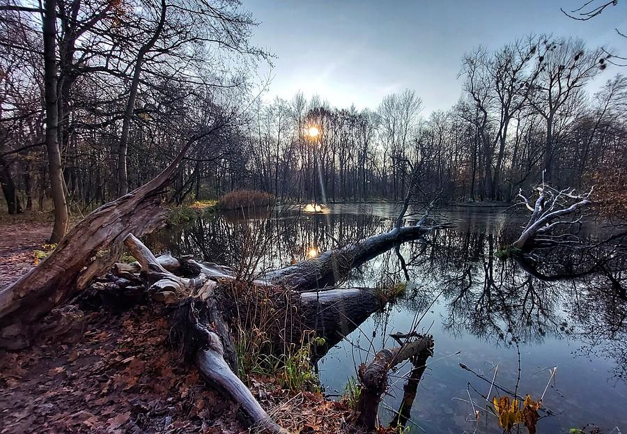 Mroźny i słoneczny poranek na Dębinie