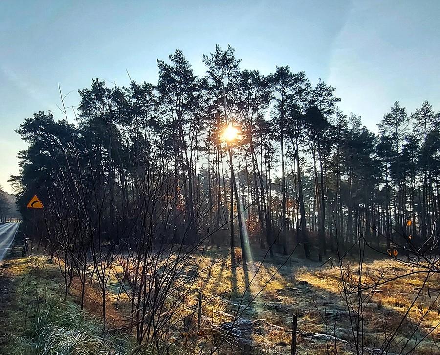 Oświecenie na trasie