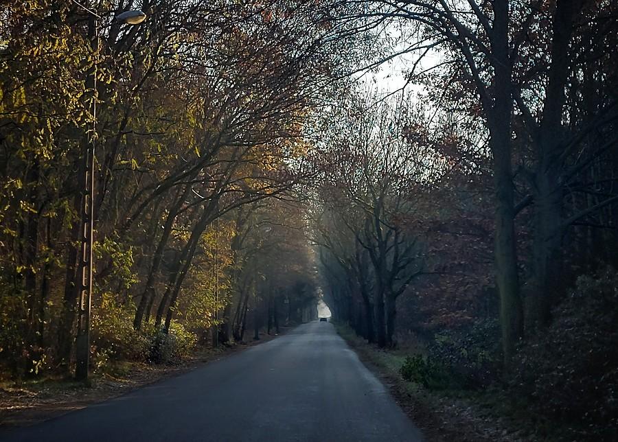 Klimatyczne poznańskie Sypniewo