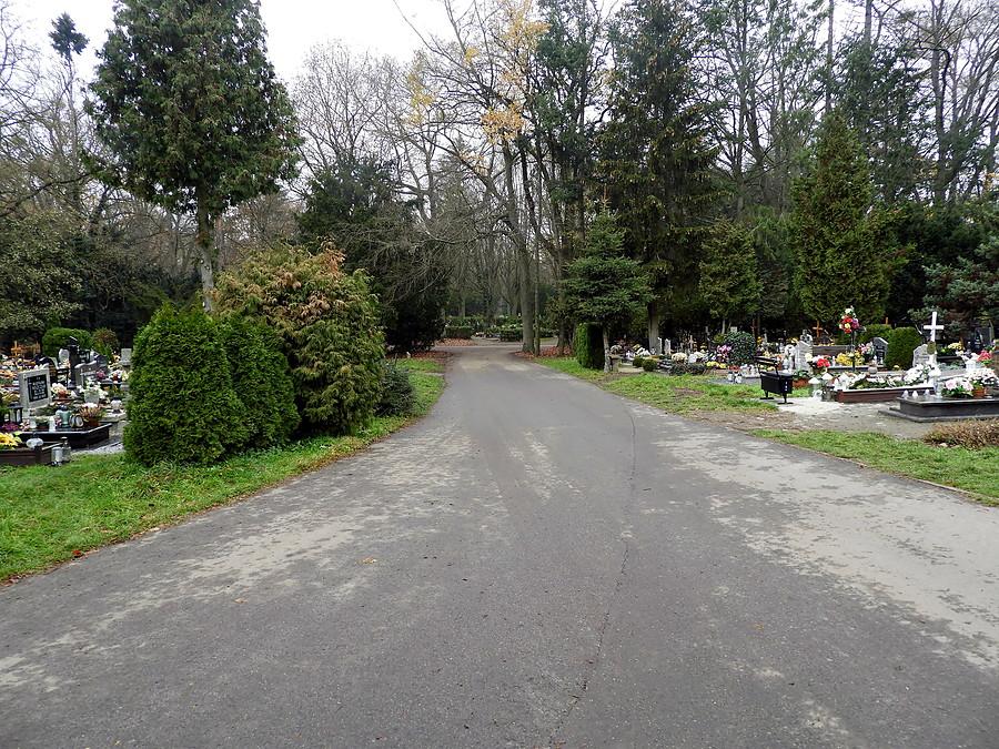 Fragment szczecińskiego Cmentarza Centralnego.