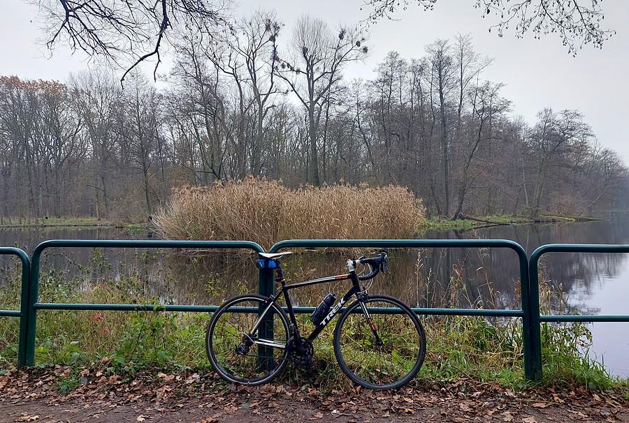 Znów szaro na Dębinie