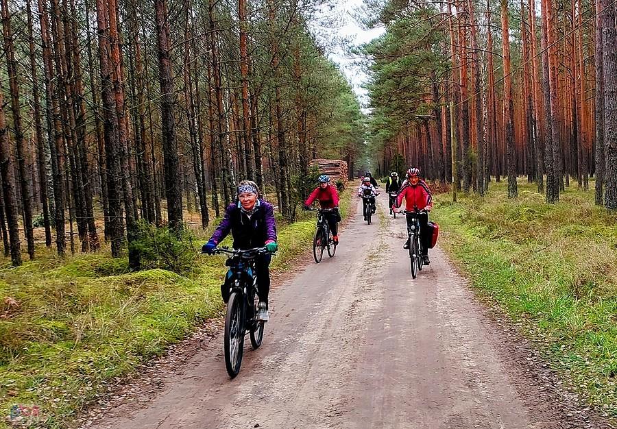 Urokliwe Bory Tucholskie