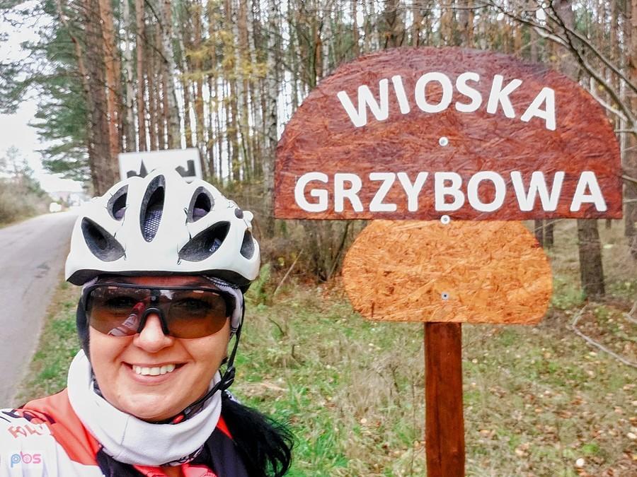 Wioska grzybowa