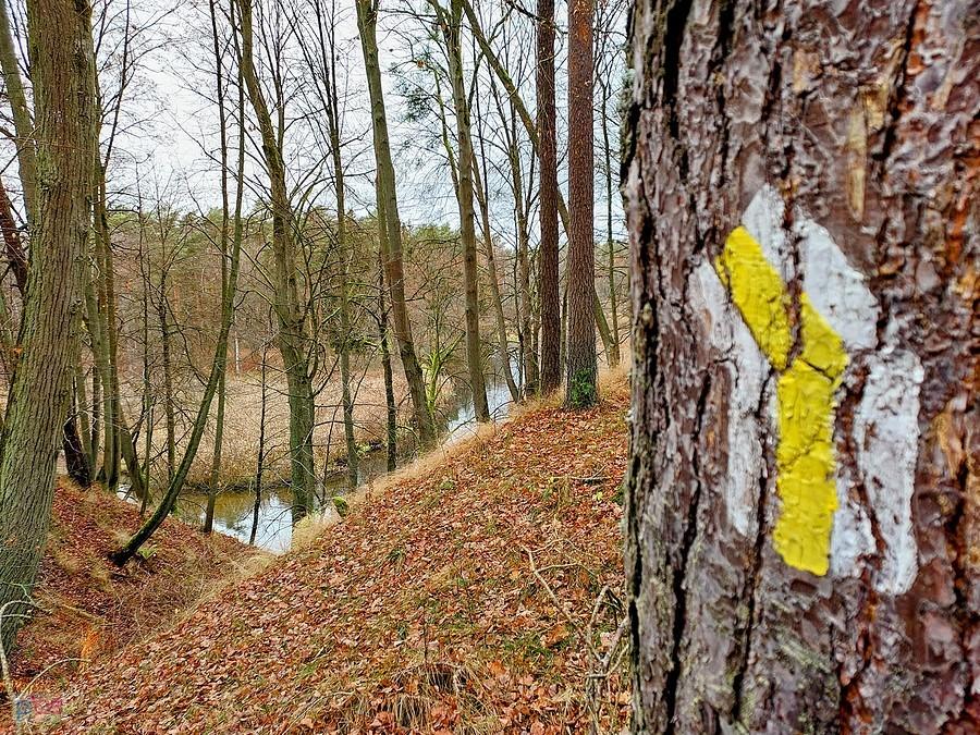 Szlak Leosia -Błędno