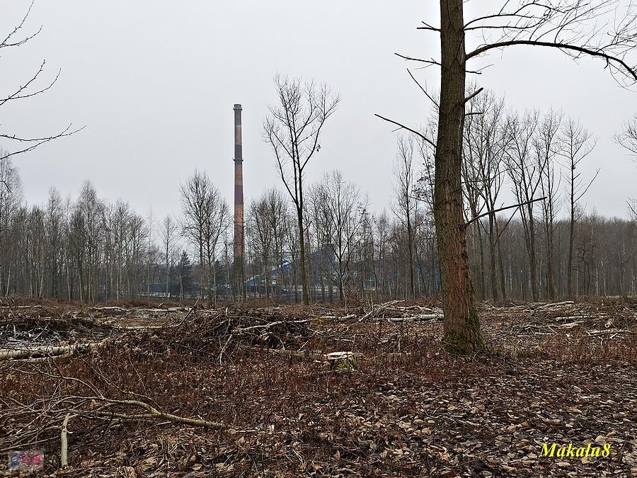 Porządki na Kocich Górkach
