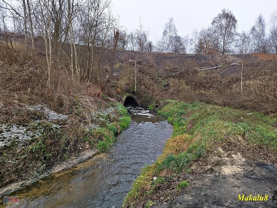 Szarlejka