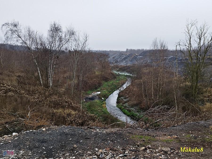 Szarlejka