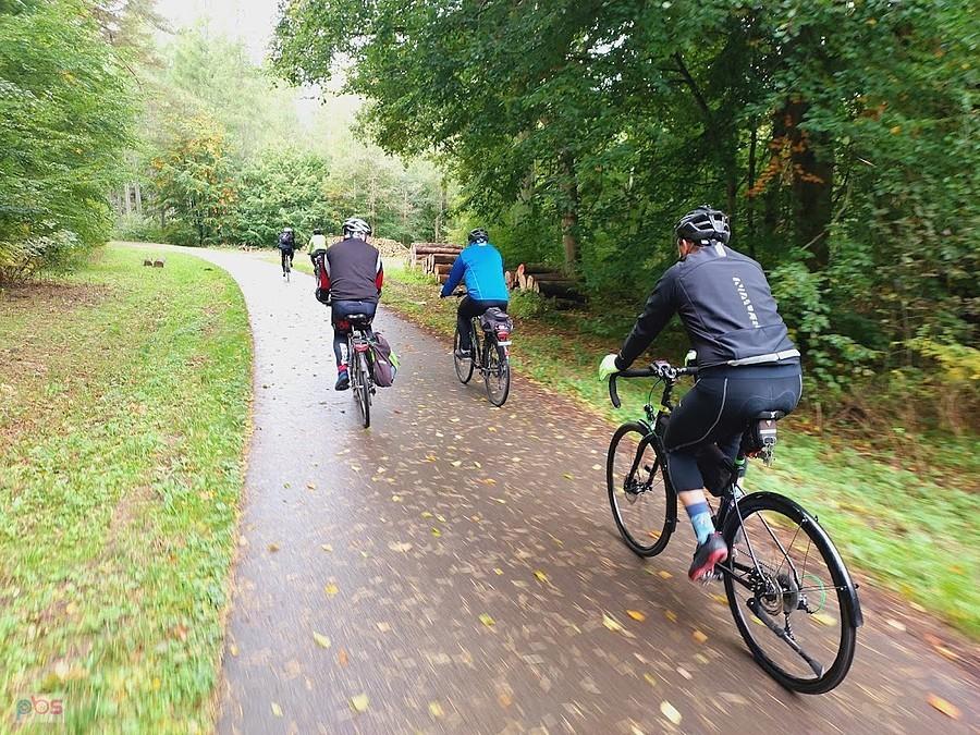 Grupa rowerzystów na ścieżce w parku