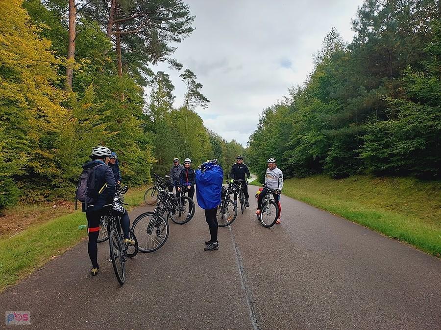 Grupa rowerzystów na leśnej drodze