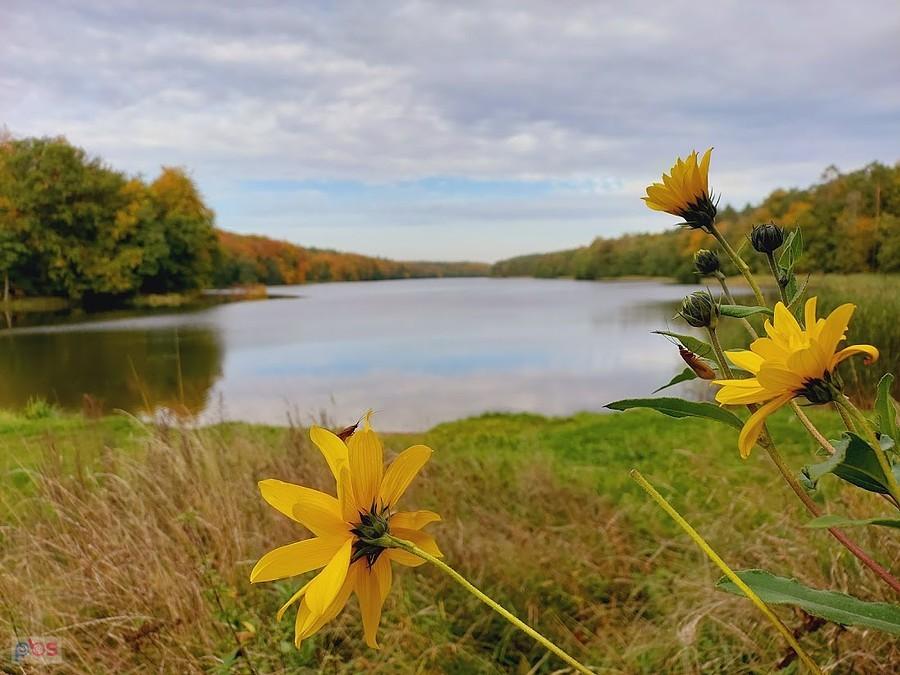 Jezioro Zduńskie
