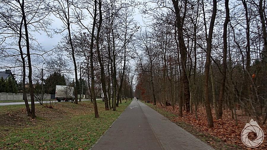 ścieżka rowerowa gdzieś w okolicy Sosnowca....Sosnowca! uwierzycie..?