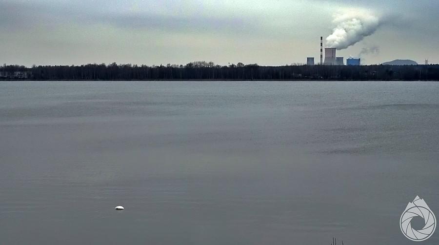 bezgłowy łabędź na Pogorii III i elektrownia Łagisza