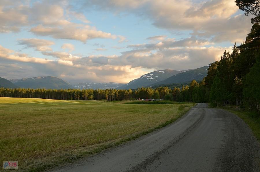 Drivdalen