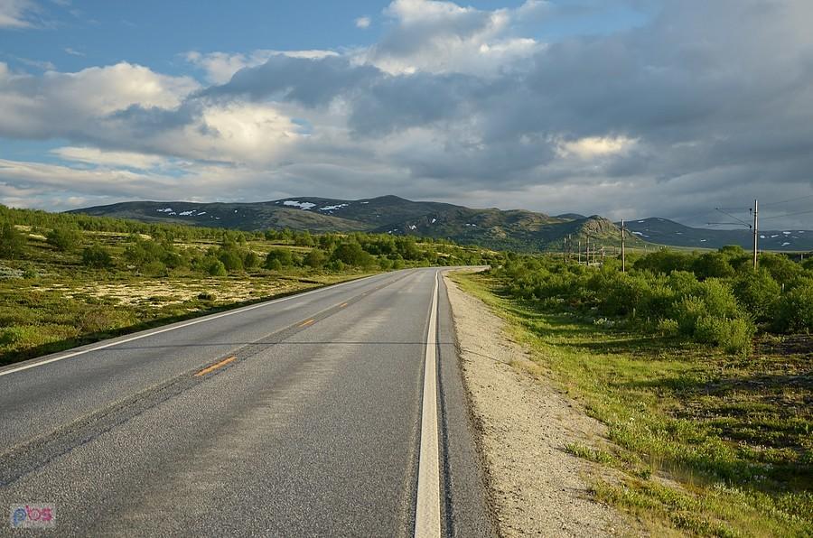 Dovrefjell