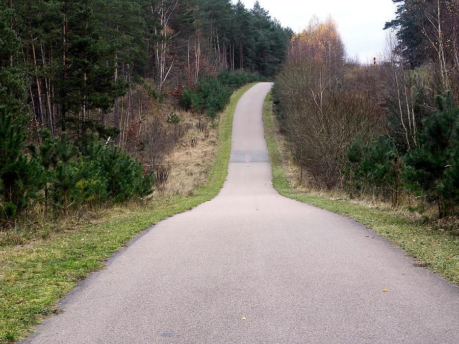 Buk - ścieżka rowerowa wzdłuż granicy. Droga Blankensee - Bismark.