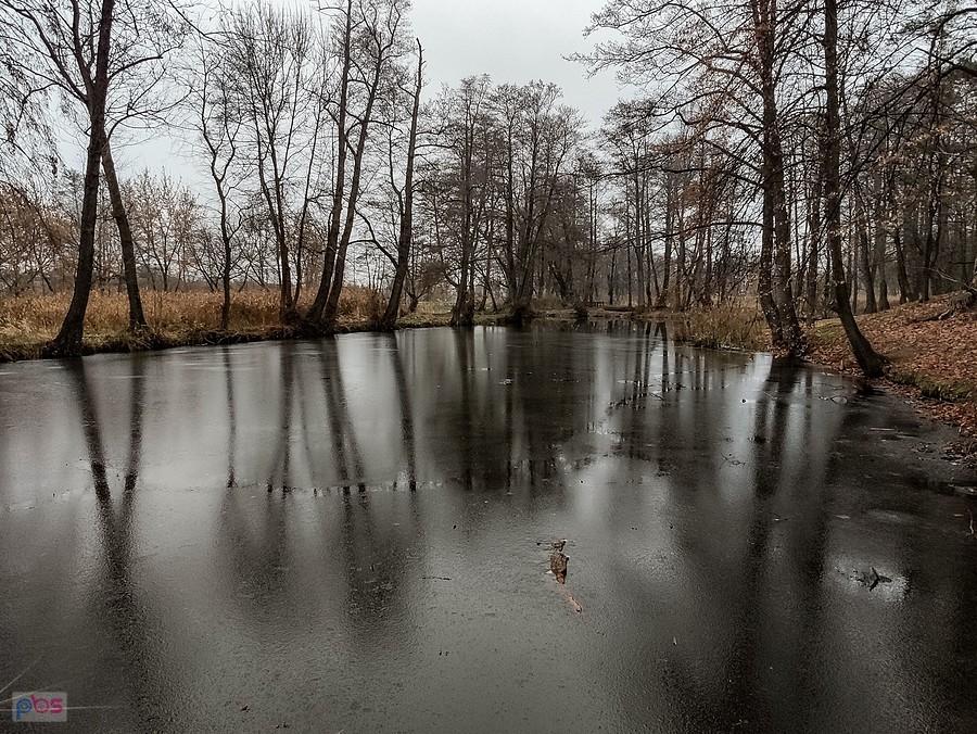 Zmrożony staw
