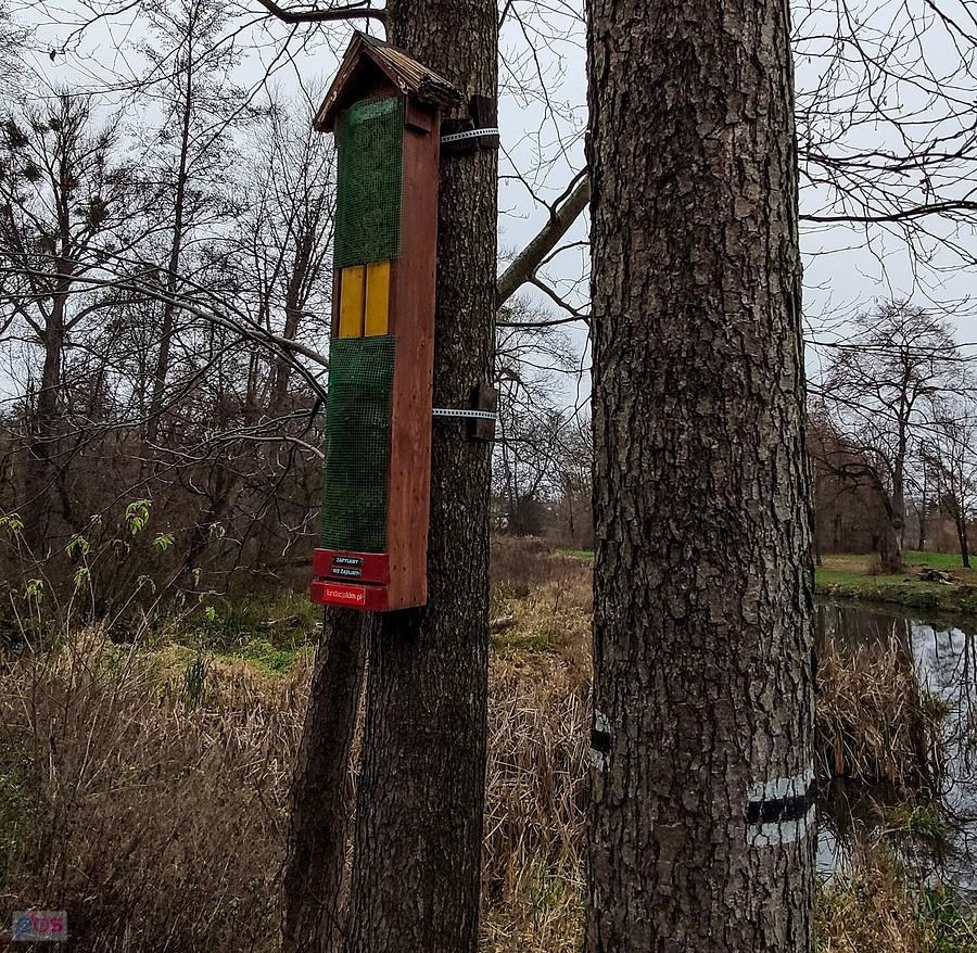 Domek dla robaków