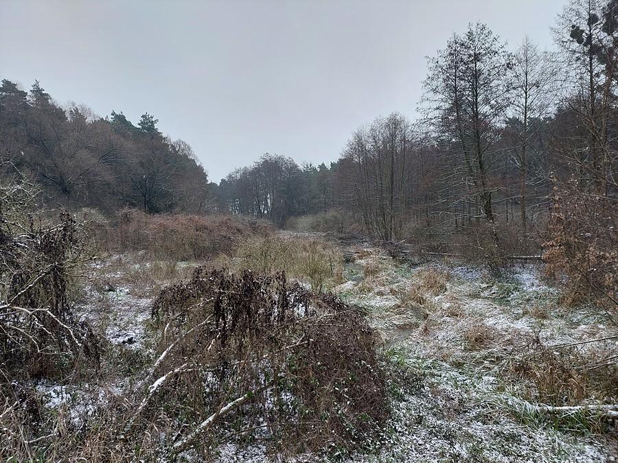 Zimowa poznańska Głuszyna