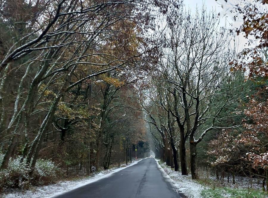 Zimowo na poznańskim Sypniewie