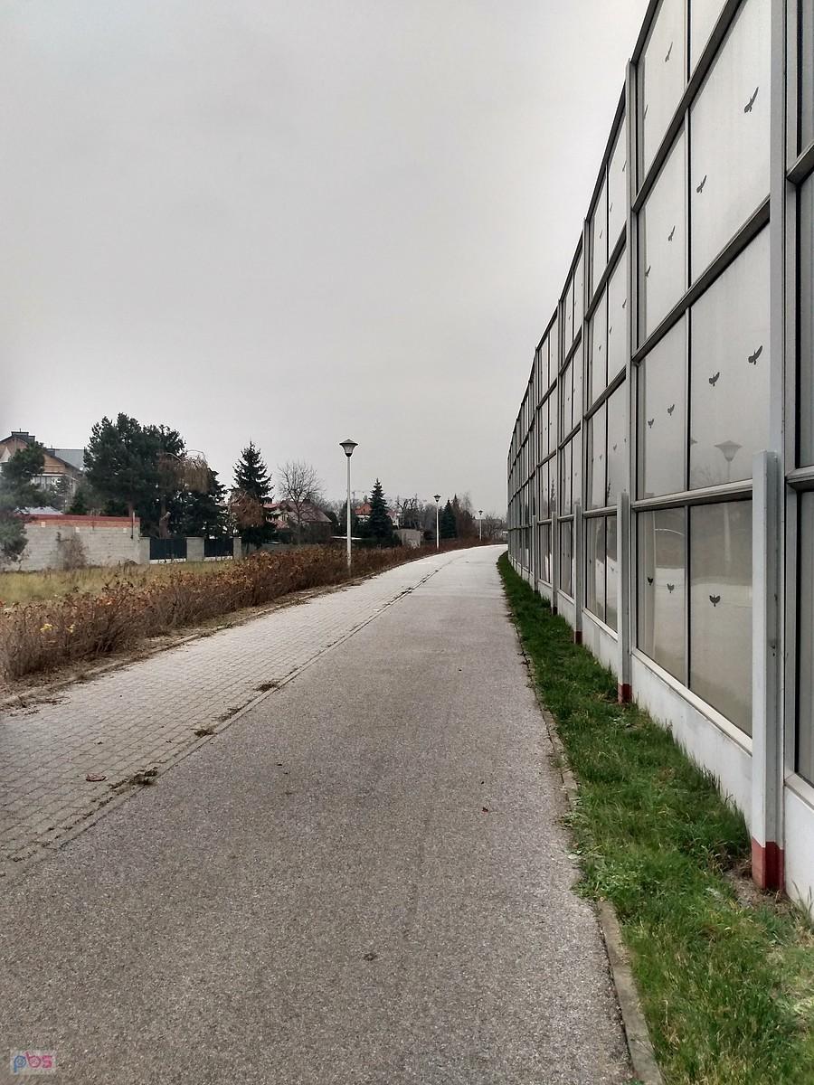 Posypana śnieżnym puchem ddr