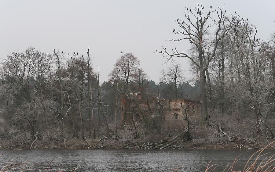 Od tej strony ruin zameczku jeszcze nie widziałem, no i te bogate ptactwo