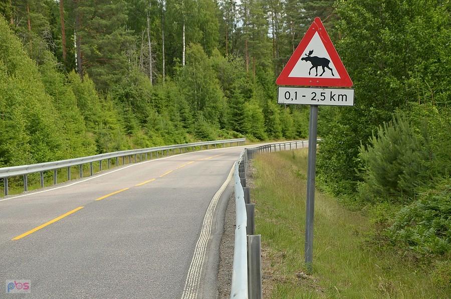 Norweski klasyk