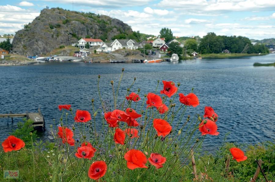 Larvik