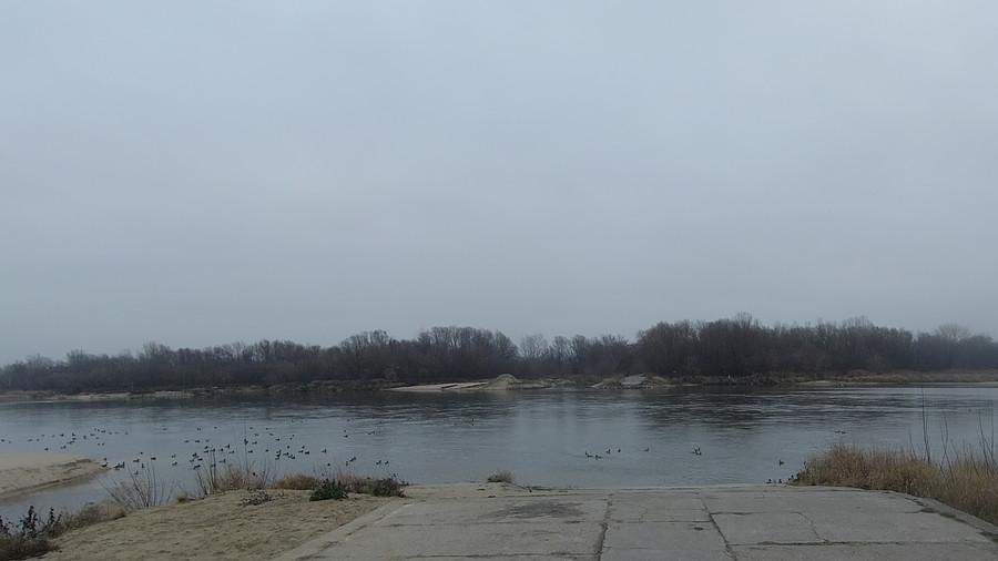 Kaczki w Gassach