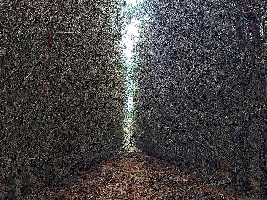 Magiczny tunel