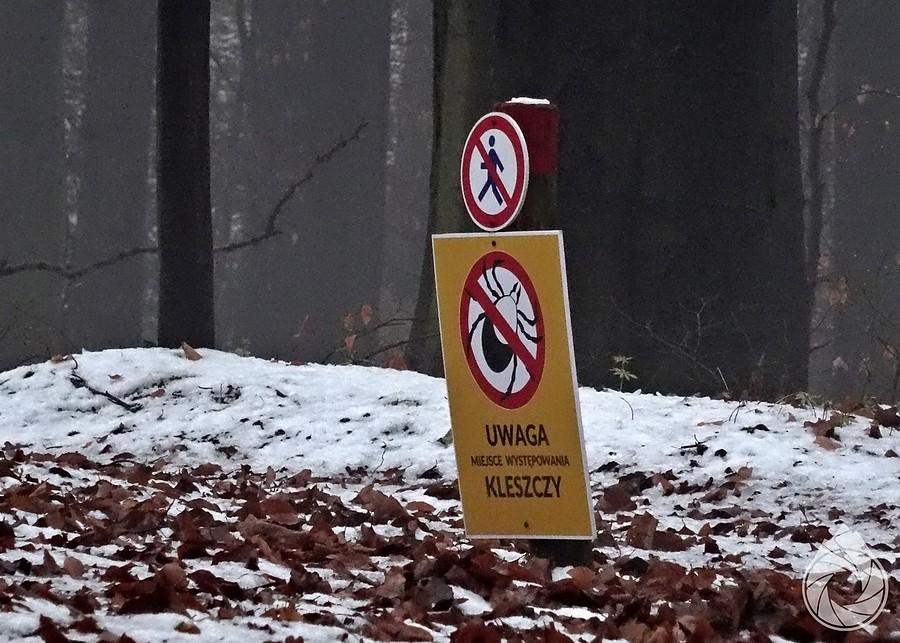 OPN wie jak odstraszyć turystów od włażenia poza szlak...