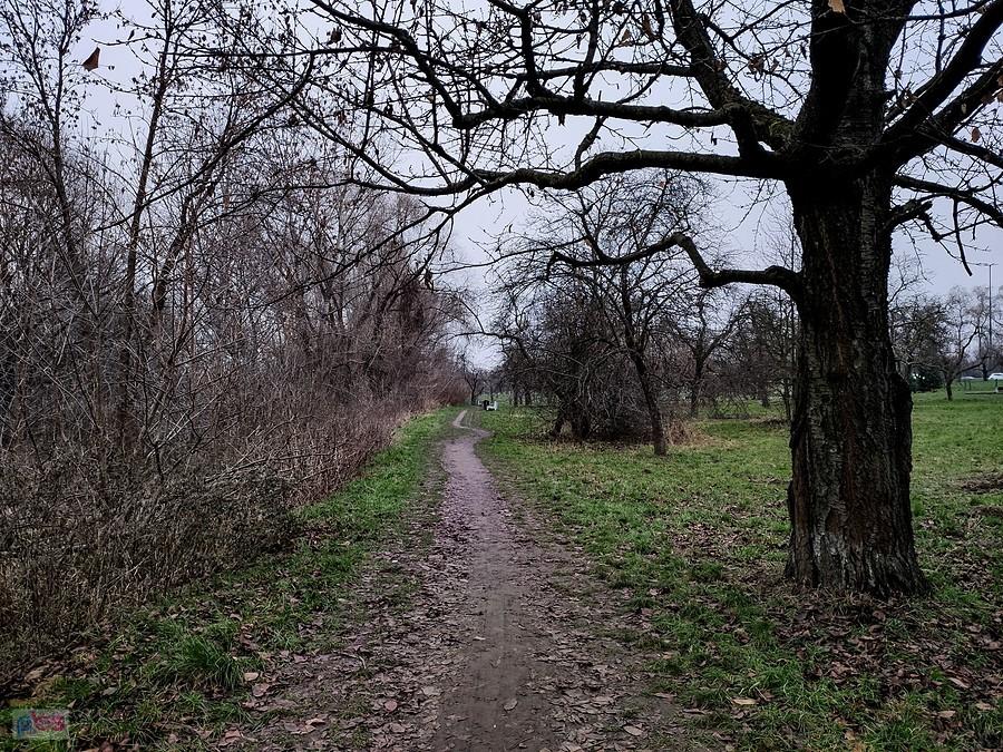 EKO-ddrka w Dolince Służewskiej