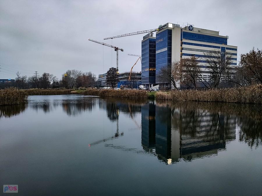 Staw Służewiecki