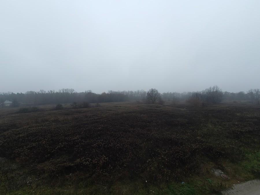 Kolorowy zawrót głowy