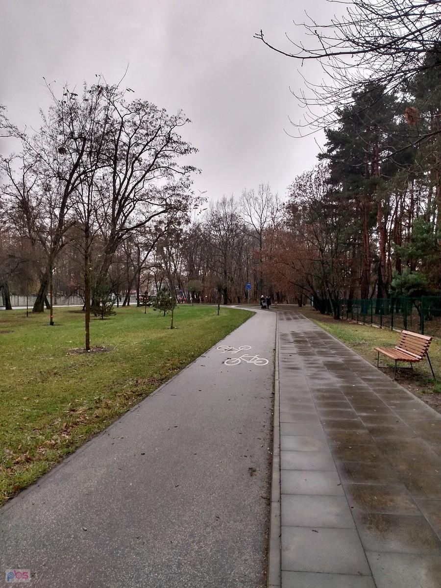 Ścieżka rowerowa w parku