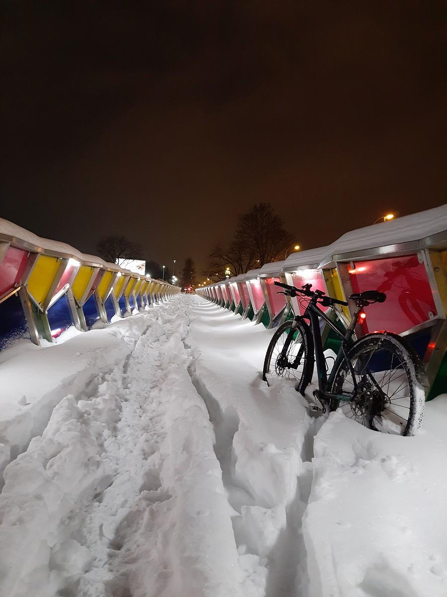 Nie ma lekko z tą Brygidą.