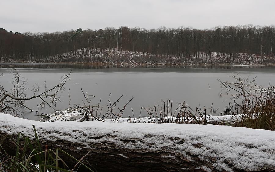 Powoli zamarzający i uroczy Kociołek