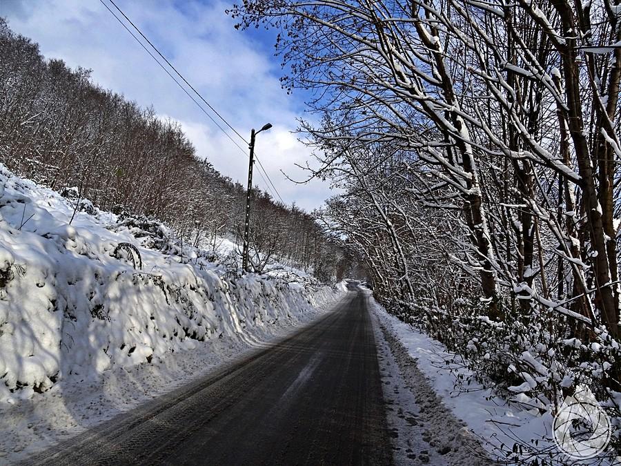 czarny podjazd na Alpy Karniowskie