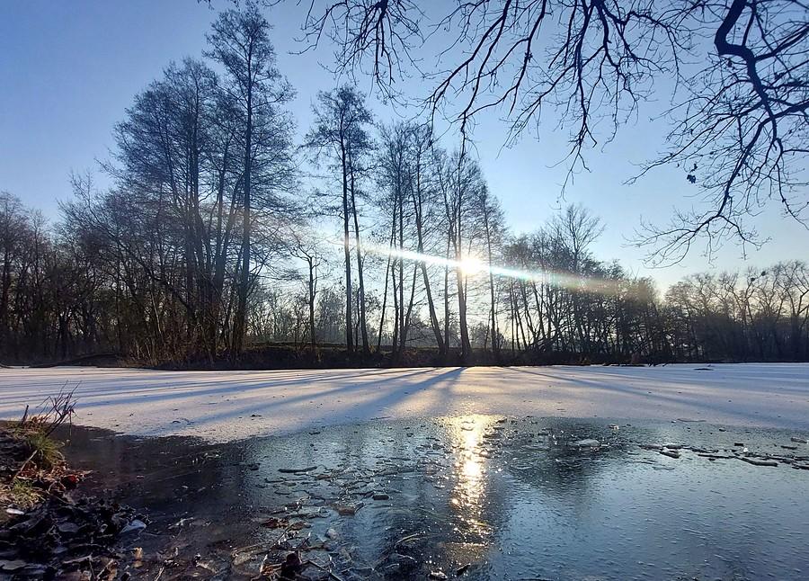 Lodowa poznańska Dębina