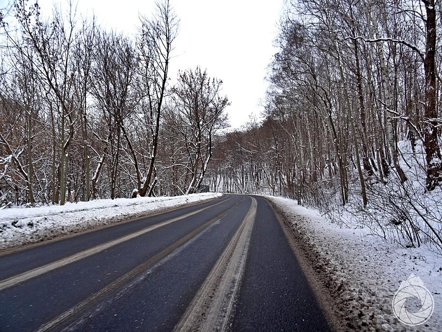 wystarczy wyjechać z Sosnowca i już robi się ładnie