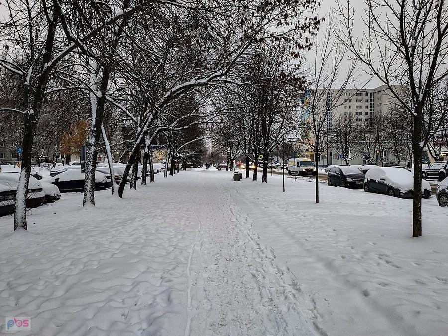 DDR eko, bez soli i piachu