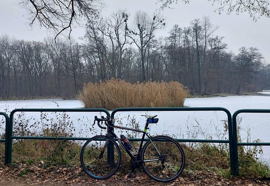 Na śnieżnej Dębinie
